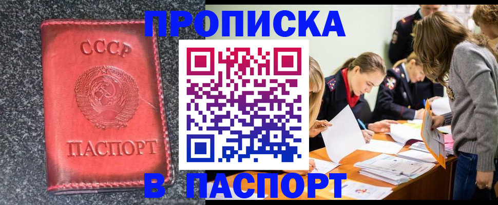 прописка для школы в Ртищево
